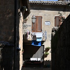 DSC 3776