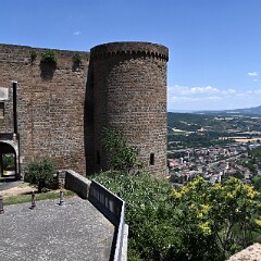DSC 3810