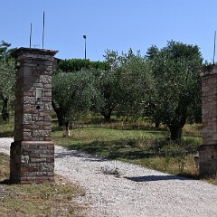 DSC 3887