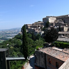 DSC 3895