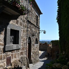 DSC 3966